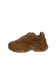 Ash AddictBis Sneaker donna suola chanky in camoscio Tabacco