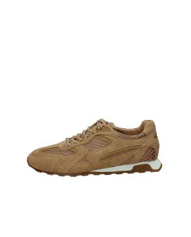 Ash kasarNet04 Sneakers basse da donna in camoscio Tabacco