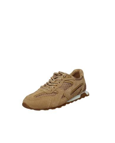 Ash kasarNet04 Sneakers basse da donna in camoscio Tabacco