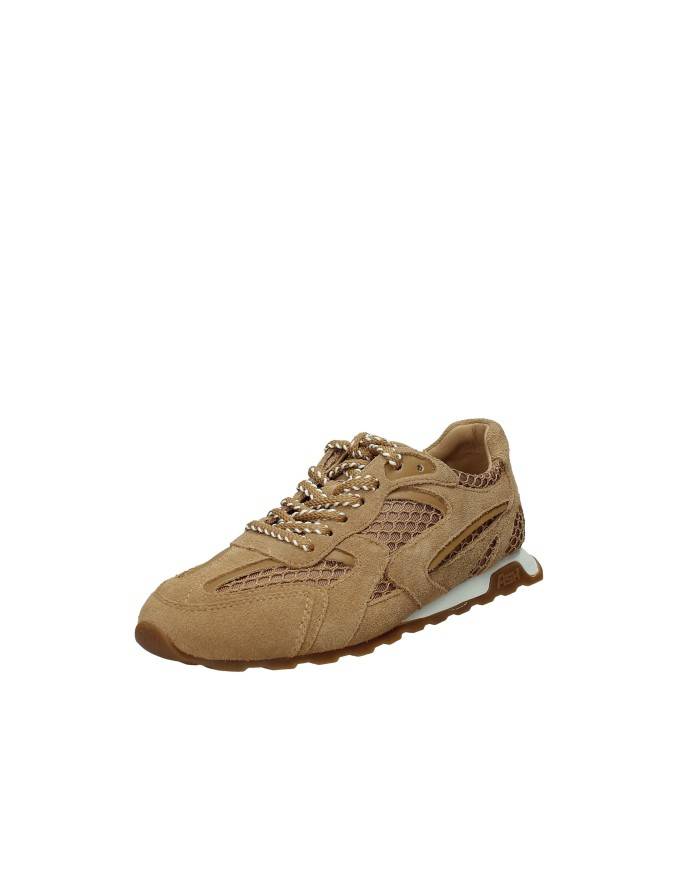 Ash kasarNet04 Sneakers basse da donna in camoscio Tabacco