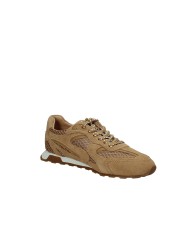 Ash kasarNet04 Sneakers basse da donna in camoscio Tabacco