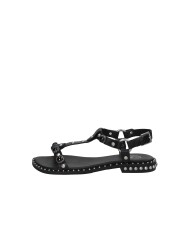 Ash Podium01 Sandali bassi con pietre in pelle Nero