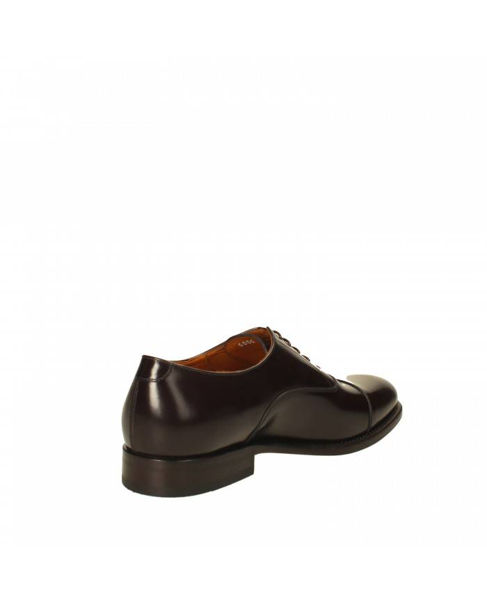 Rossi Stringata in pelle Testa Moro 5885 Nuova Collezione Rossi